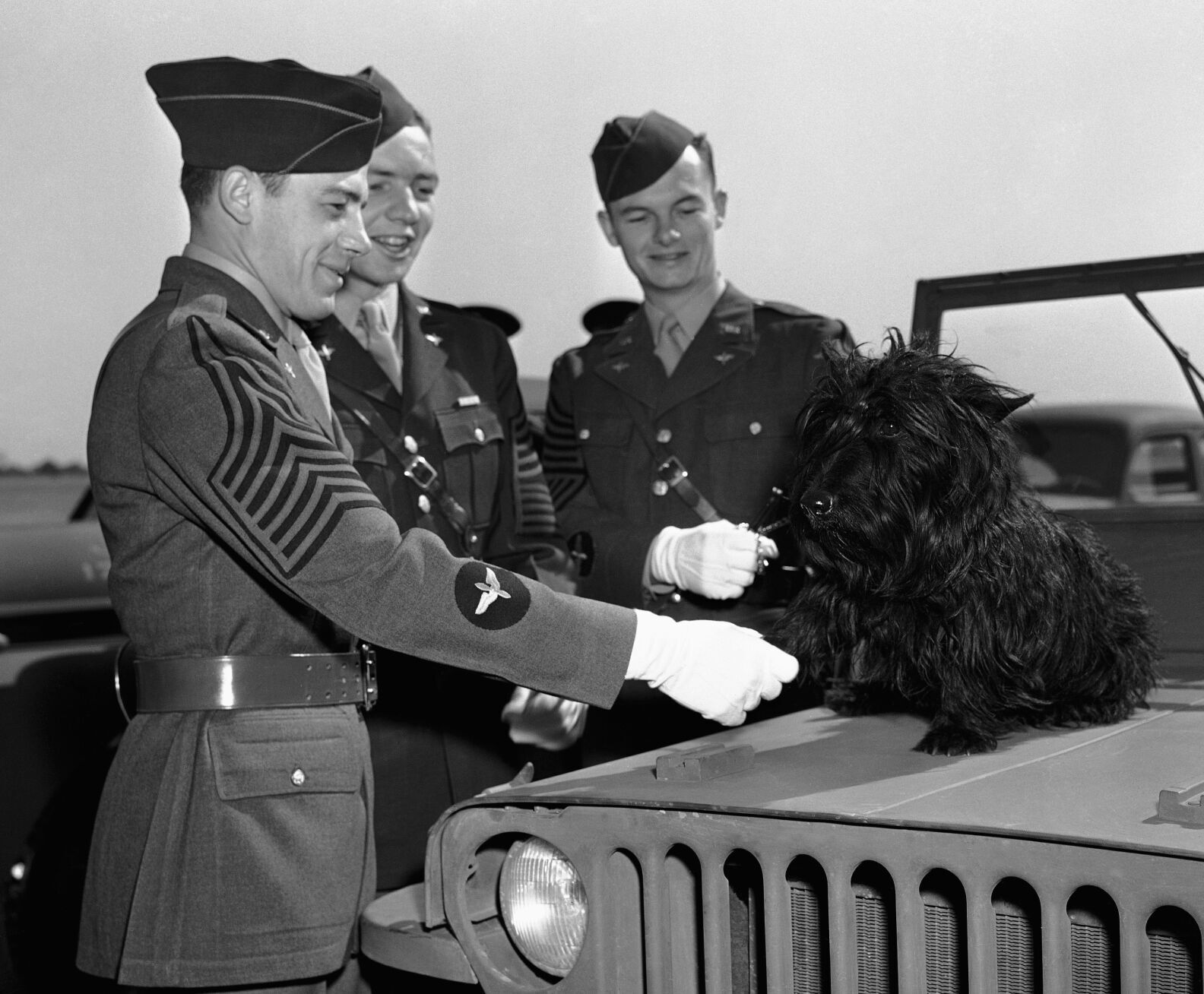 Presidential Pet Fala 1943